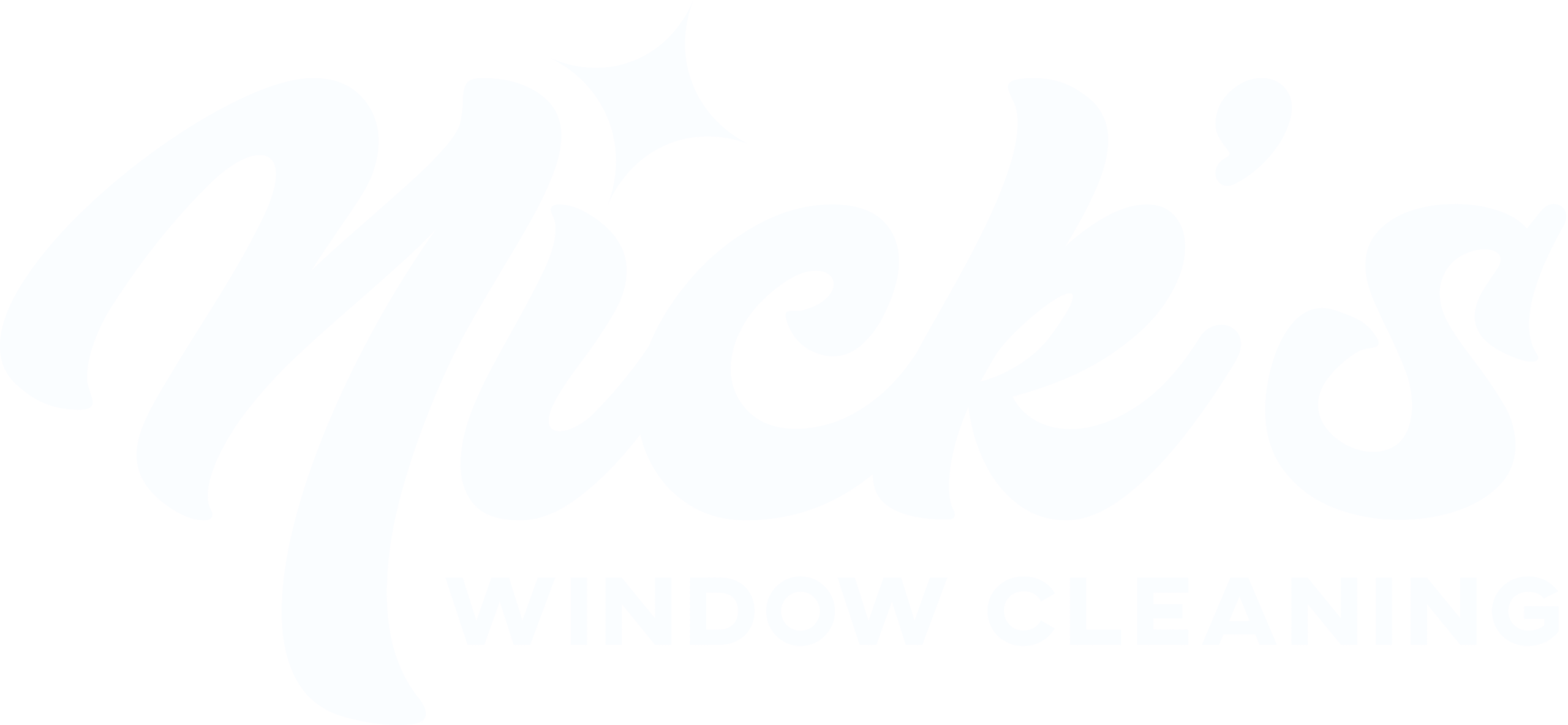 Nick the Window Cleaner